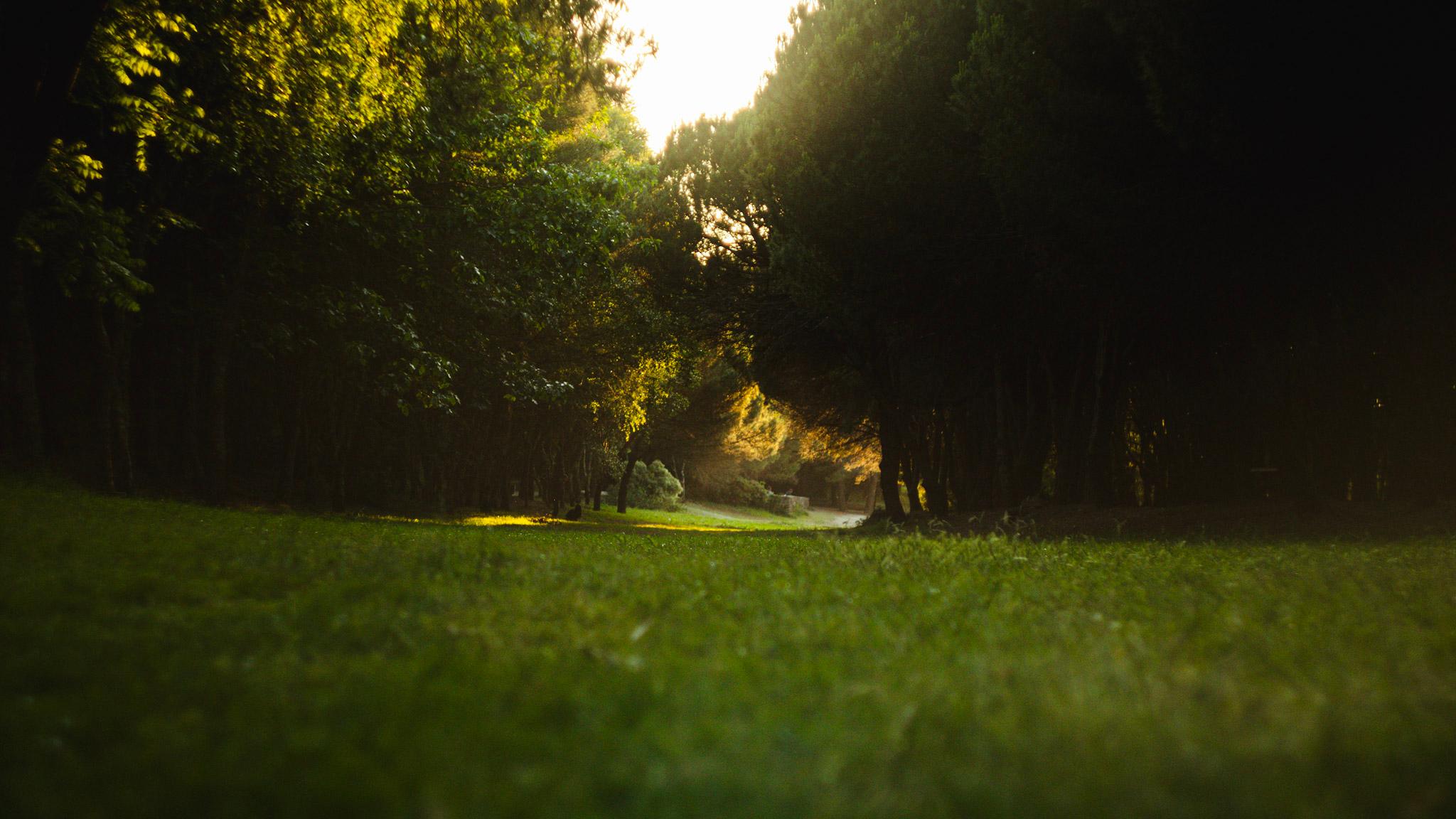 A caption about this image